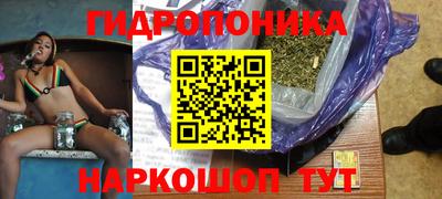 тгк Сланцы