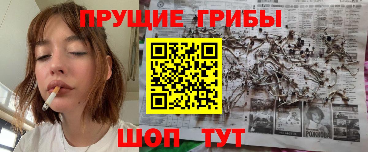 Галлюциногенные грибы мухоморы Отрадное