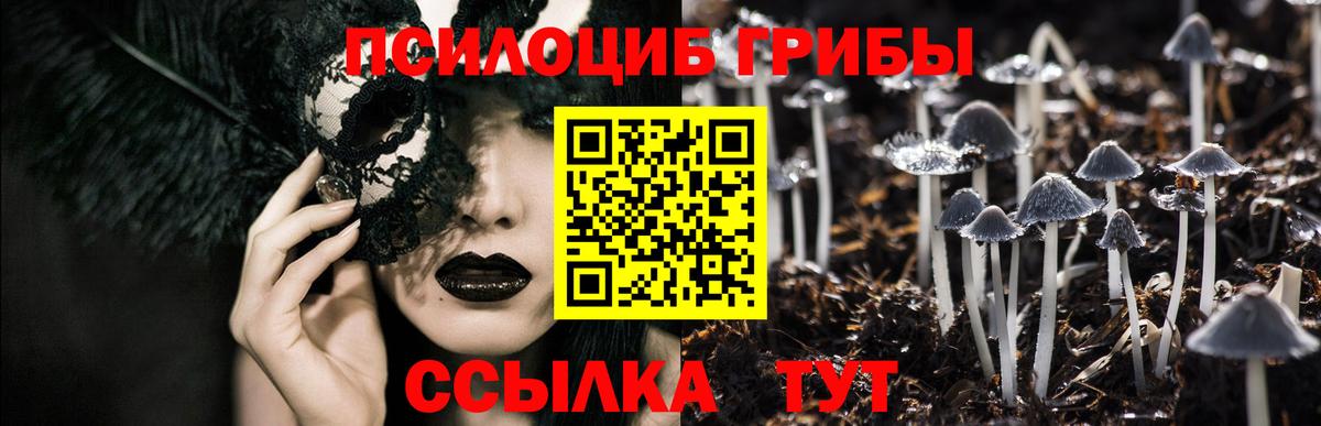 Отрадное  Псилоцибиновые грибы Psilocybe  Вход с VPN 