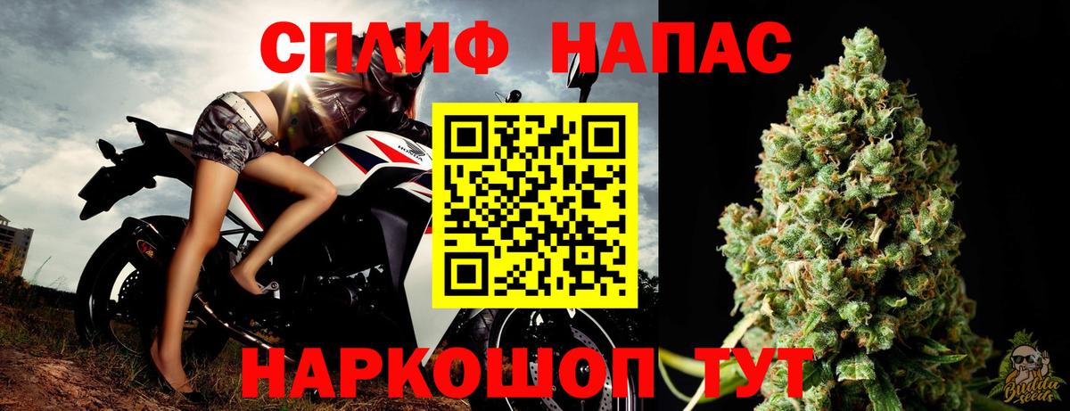 Конопля ГИДРОПОН Отрадное
